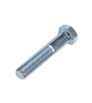 Skateboard Kingpin Bolt