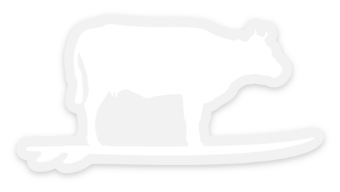 Lake Effect Surfing Cow Sticker (Clear/White)